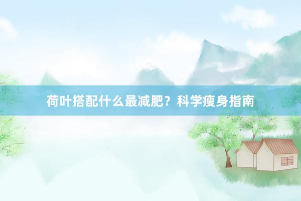 荷叶搭配什么最减肥？科学瘦身指南