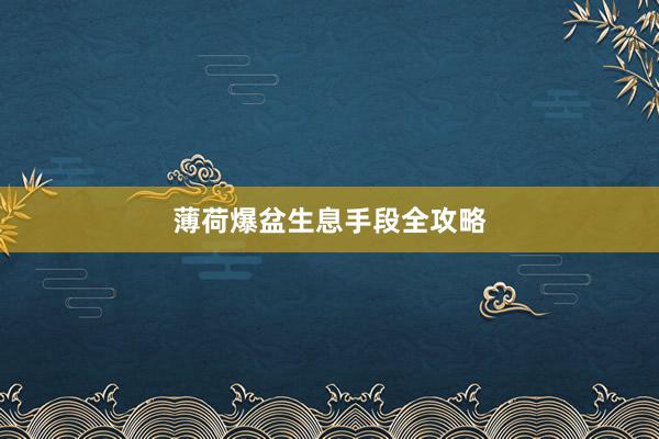 薄荷爆盆生息手段全攻略