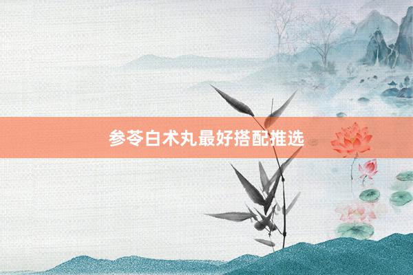 参苓白术丸最好搭配推选